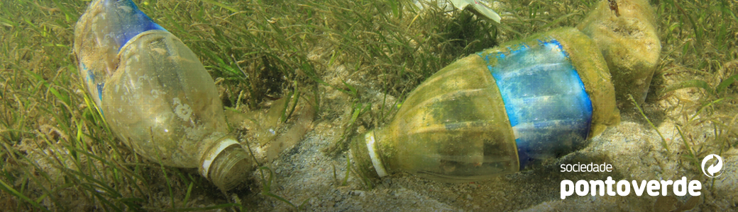 Sociedade Ponto Verde alerta para o perigo do aumento da quantidade de resíduos no mar